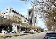 👍稀有住店合一/單元二全新未住臨路商用電梯店墅