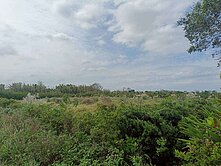 觀音66快速路550坪農地