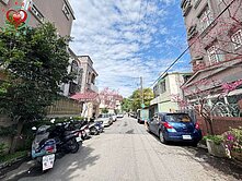 專-鶯歌鳳鳴車站旁大地坪花