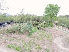 😎🩵五股可老農配建農舍美農地😎🩵