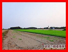 誠昱/後港東臨路方正農地