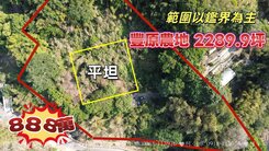 獨家獨賣🔶豐原2289.9坪農地🔶有路有水有電