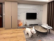 萱萱好窩★精銳Fun未來｜兩房平車精裝帝王戶｜