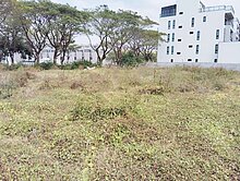 台南州南親水公園8米正路優質方正住宅建地