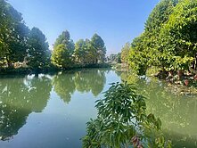 🟠專任🟠豐勢都計內湧泉吉地