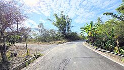 (專約)杉林金竹國小一甲多便宜農地