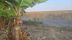 急售.出價可談💦⭕️水上⭕️內溪洲雙面路農地