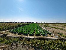 台南市將軍區漚汪段302坪小而美超值農地