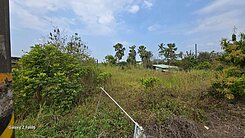 ⭕️溪心段⭕️正路邊方正農地