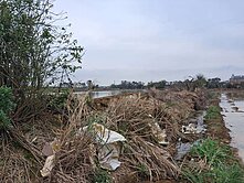 獨賣新屋 近綠色走廊 便宜 一般農