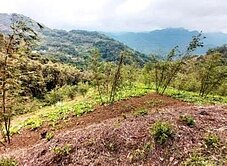 三峽農牧用地❤️輕鬆經營開心農場☎️