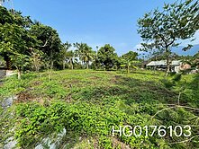 🔆sunny賞地🔆雙臨路平坦農地|退休度假首選