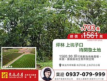 坪林坑子口段上坑子口小段✨土地出售-專約