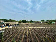 專簽❗️大埔美工業園區低總價車庫透天