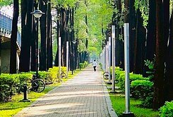 專任中興大學旁漂亮電梯別墅+可停3車+5套房⭐