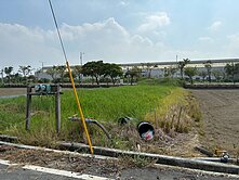 西拉雅大道旁都內農地