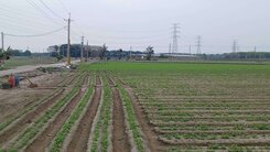 🟠專任🟠元長寬敞臨路農地