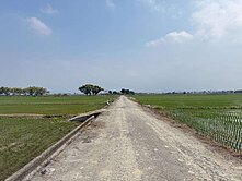 ⭕️大林⭕️橋子頭美農地