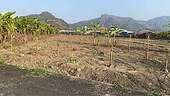 💥專約💥旗山糖廠旗山老街國道10終點交流道