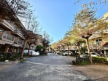 稀有前院停車~大湳商圈荷賞超優質美別墅