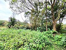 ✅️之凡+｜【高原段】高原交流道美建地