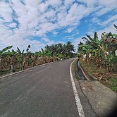 杉林區花海景點漂亮農地