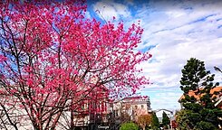 【興建農業設施農保用地】楊梅交流道  景觀農地