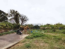 大雅自強段便宜農地.大面寬.投資節稅