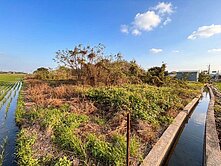 承義佩樺｜近國道大坪數農地｜土地方正・低於實登