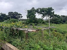 聖德路400坪雙面臨路農地