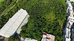 仁武區山坡保育地 之  種植