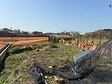 大園航空城近捷運面寬安置建地