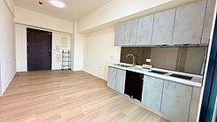 樂樂南科全新景觀2房平車