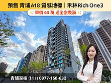 青埔Iris🐟A18禾林RICHONE3大3房車