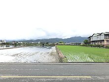 三星蔥寶寶771剛剛好足坪🌱新樂園五結店