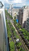面40米仁愛路林蔭大道-仁愛當代