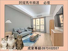 美術館富人區❤️中高樓層，三房+平車