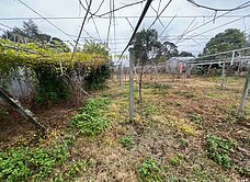 新社復盛段平坦農地(專任)