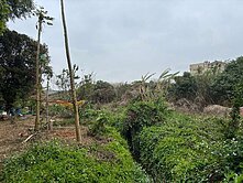 綠園道大面寬美田