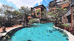 🌳超大露台樹海景觀｜超遠棟距景觀大戶