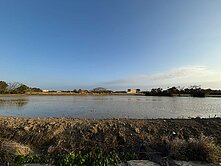 觀音大潭國小方正美農地