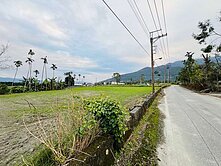 花蓮★新光兆豐農場甲建+農地