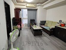 平鎮復旦國小玉山民族極景漂亮3房車