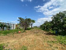 八德重劃區近捷運站廣興路旁美農地