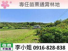 G10專任苗栗通霄林地