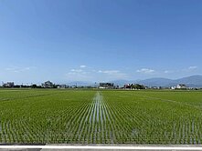 壯圍壯東段低總價漂亮農地🌾
