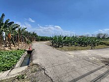 大坪頂以東發展軸線｜都計內農牧用地
