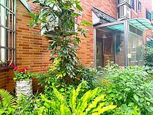 🌿藝文特區｜同德七街花園別墅雙車位