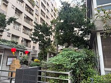 台中|西屯林鼎願景2期三房平車一樓挑高