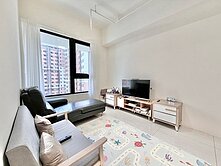 超稀有央北捷運宏國高樓三房雙衛坡平車